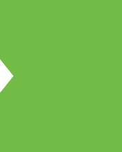 zielony