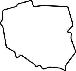 Polygon