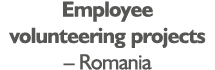 Employee volunteering projects   Romania