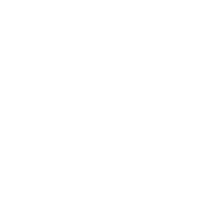 I can firmly say that the  InCerc  Programme has changed our lives for the better  This applies not only to Michael b   