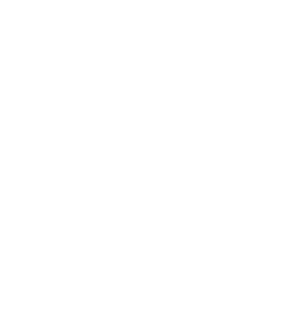 The exceptional support provided by the  InCerc  Programme deserves special attention  The experts from the medical a   