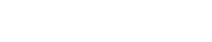 Disease prevention programmes for local governments