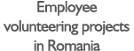 Employee volunteering projects in Romania