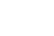 Body mass and composition scan