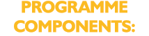 PROGRAMME COMPONENTS: 